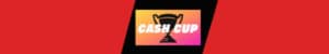 fortnite cash cup banner